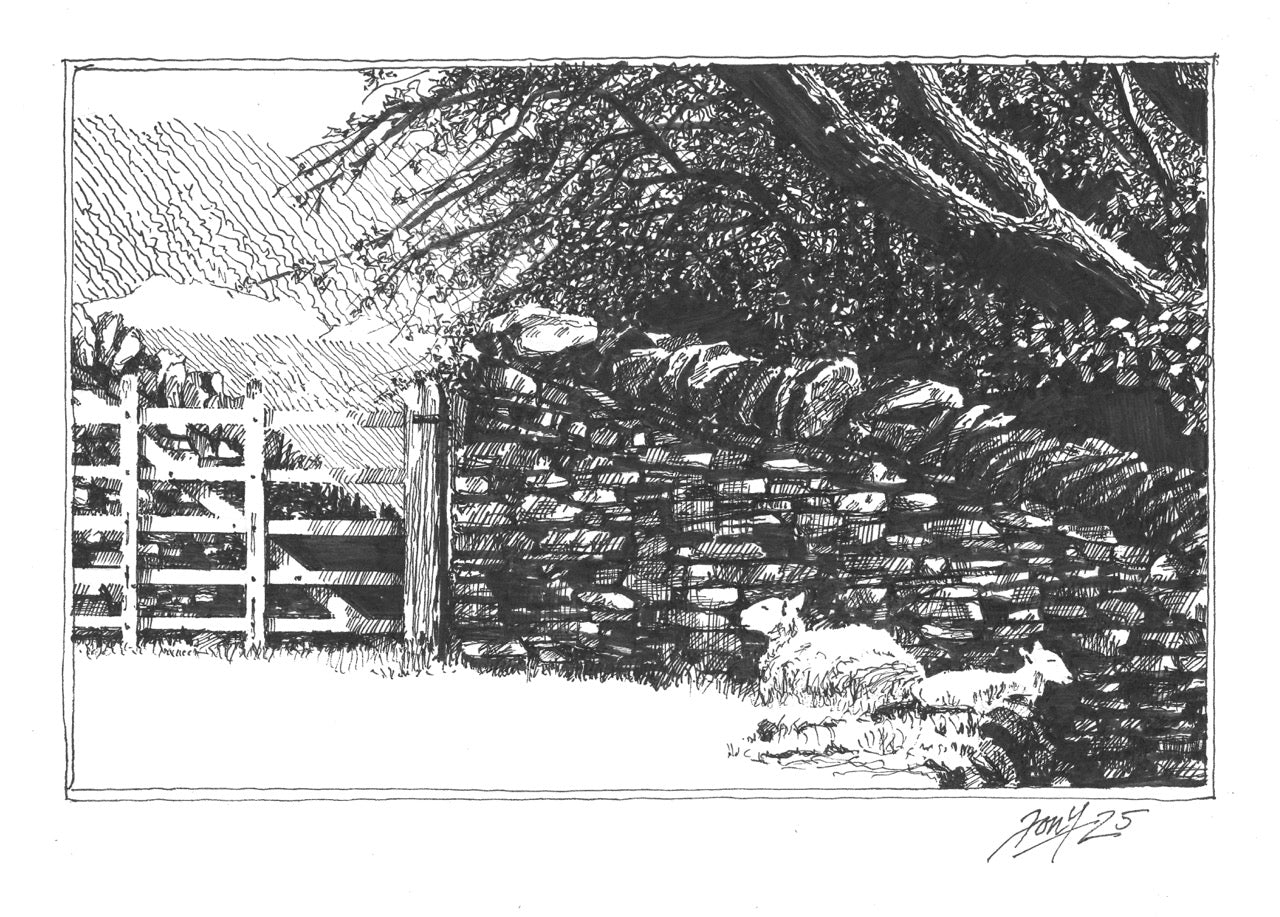 Little Langdale Sheep P&I
