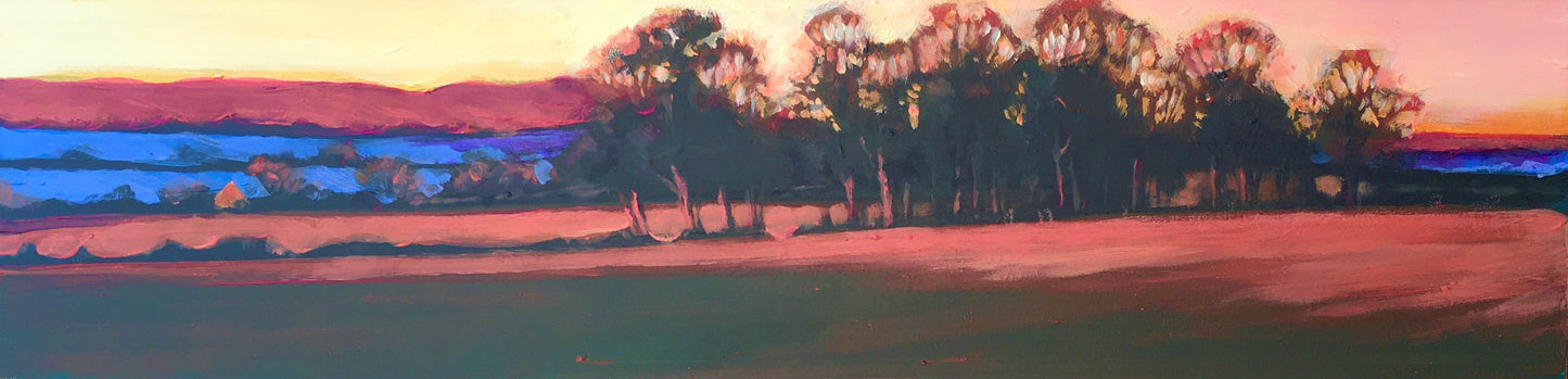 Evening Light Stephen's Field*