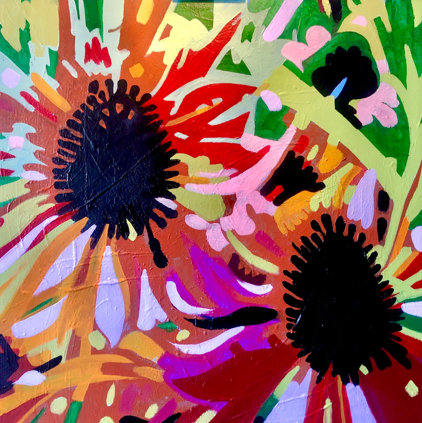 Summer Asters*