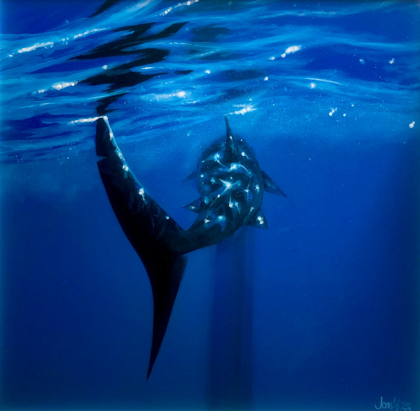Basking in the Blue