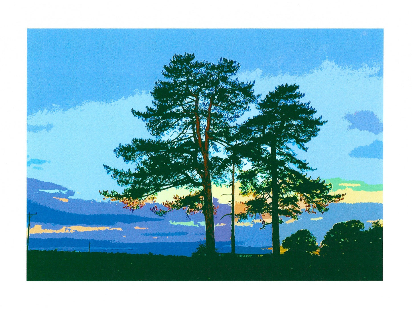 Tedsmore Trees V
