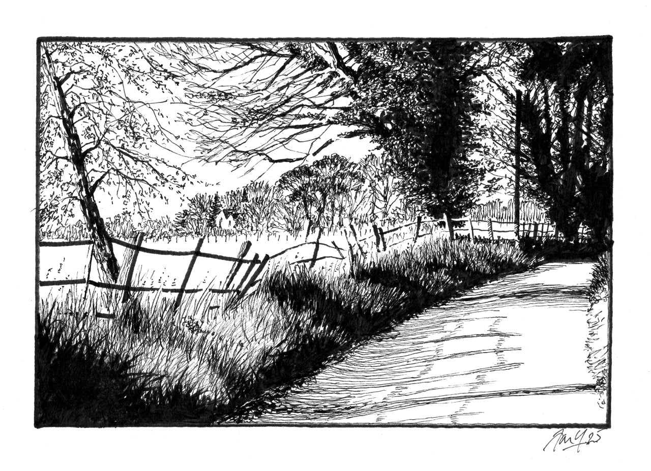 Tedsmore Lane III P&I