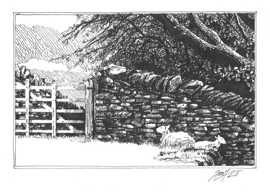 Little Langdale Sheep P&I