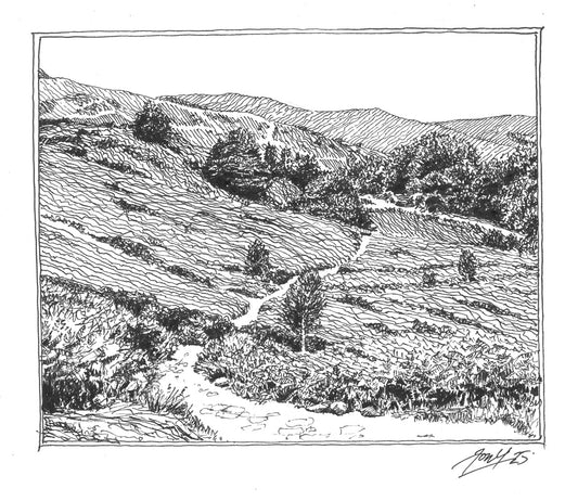 The Middle Path Loughrigg P&I