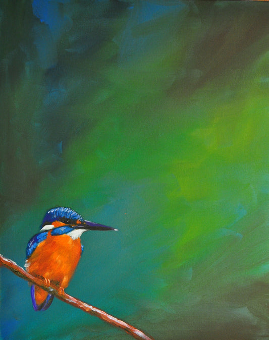 Kingfisher*