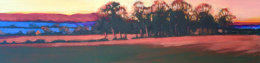 Evening Light Stephen's Field*