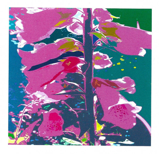 Foxgloves card