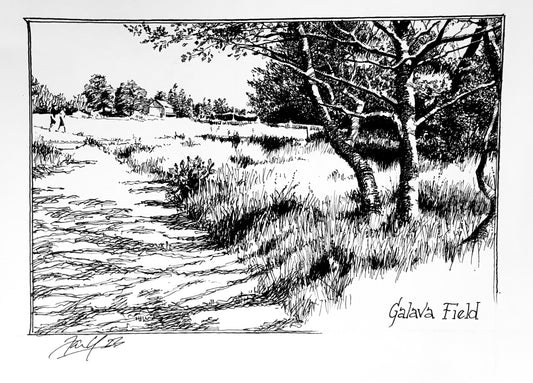 Galava Field P&I