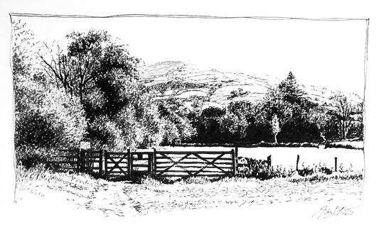 Galava Field II P&I