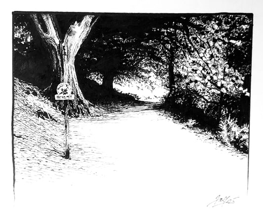 Loungrigg Path P&I