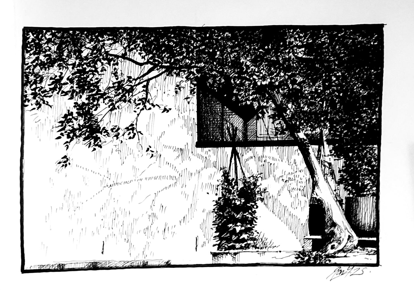 Ambleside Shadows P&I