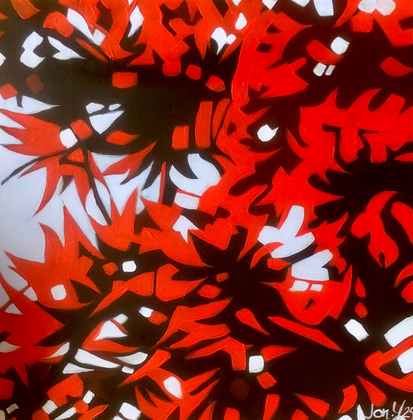Acacia Red*