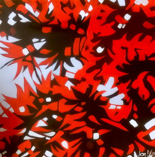 Acacia Red*