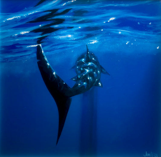 Basking in the Blue
