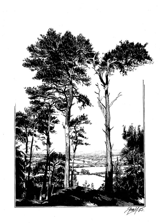 Nesscliffe Trees P&I