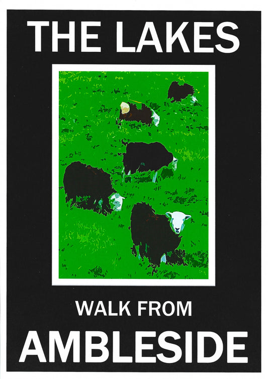 Ambleside Walk from T