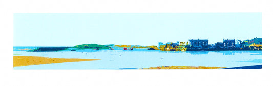 Across to Barmouth Harbour