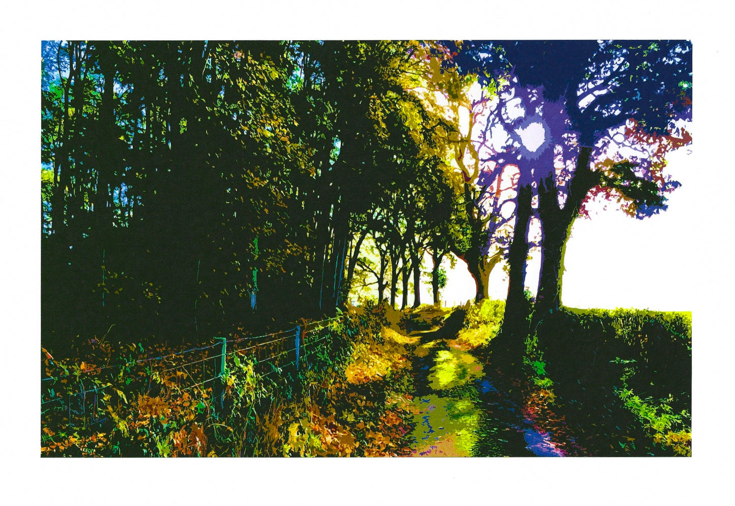 Greg Hill Autumn Light