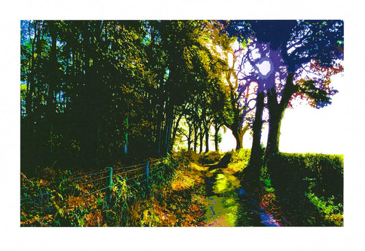 Greg Hill Autumn Light