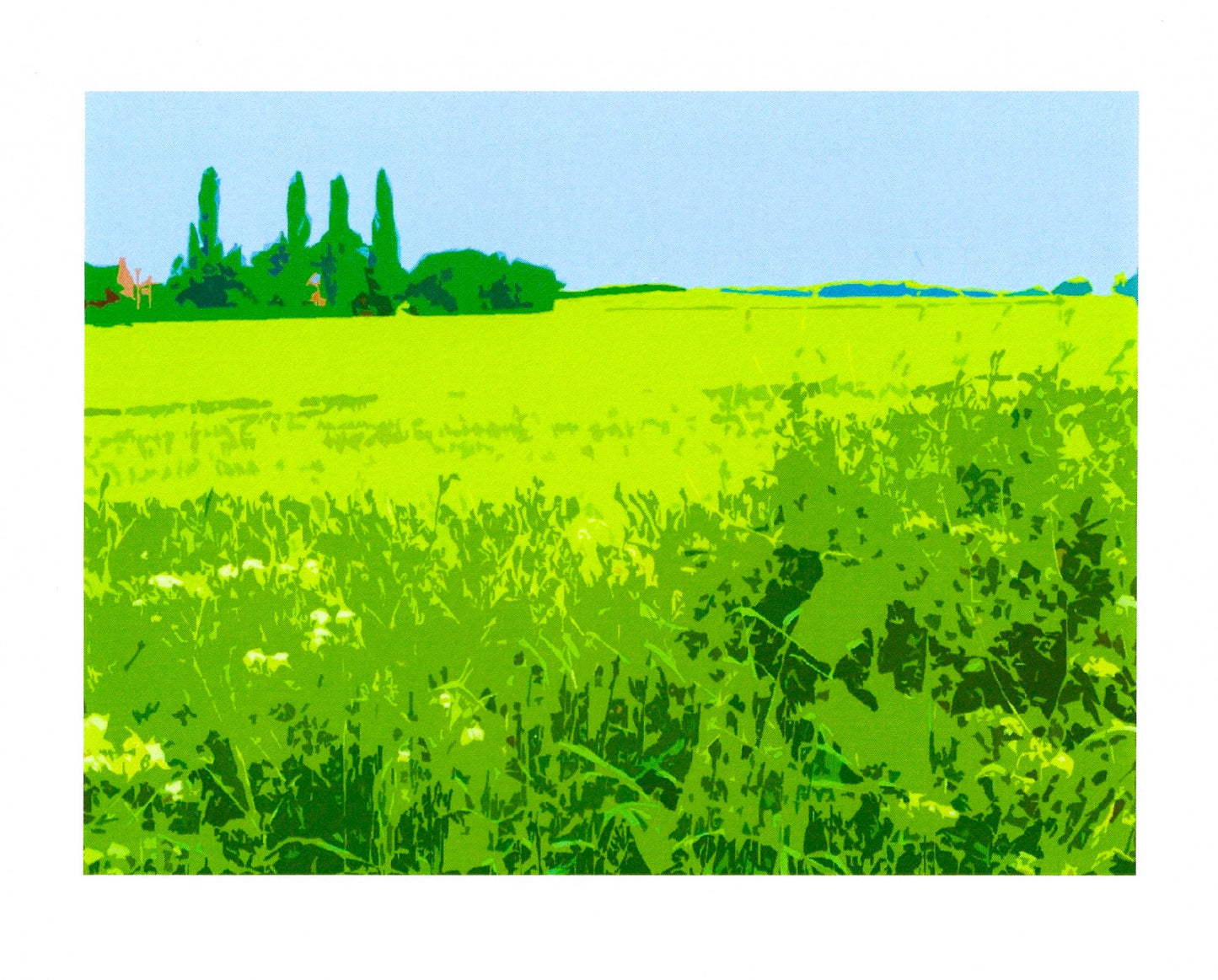 Shotatton Fields IV
