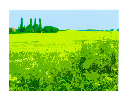 Shotatton Fields IV