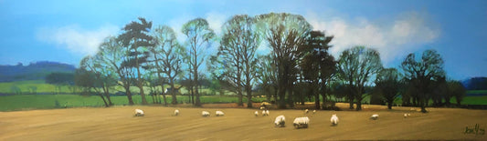 Stephen's Field*