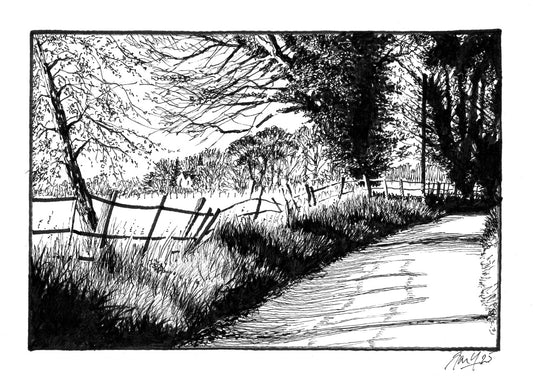 Tedsmore Lane III P&I