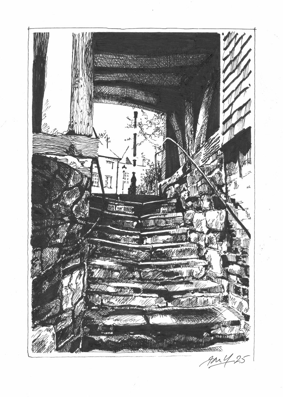 The Bear Steps P&I