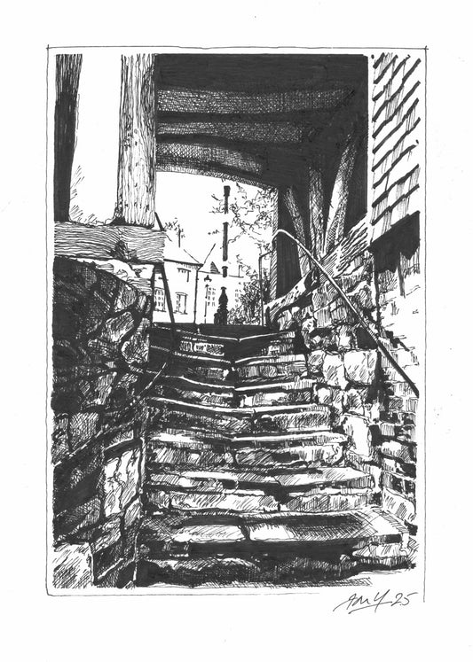 The Bear Steps P&I